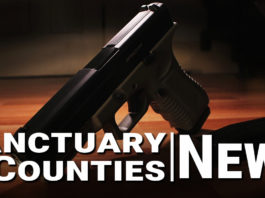 Sanctuary County News