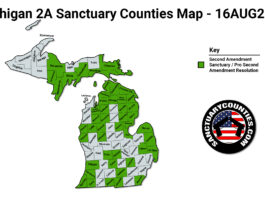 Michigan 2A Sanctuary Counties