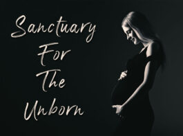 Picture shows a pregnant woman - Text reads, "Sanctuary for the Unborn"